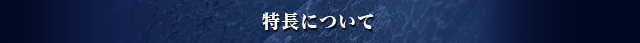 特長について